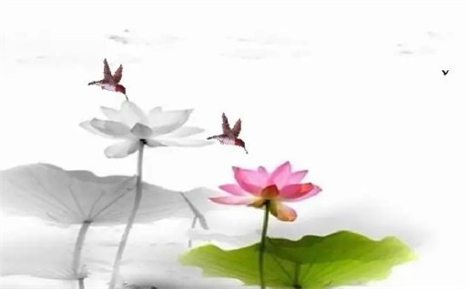 今日万年历2031年03月16日启程的好日子,出行吉日