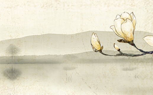 今天2029年05月23日外出老黄历不推荐吗,农历二〇二九年四月十一出行日子