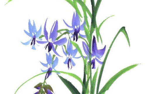 农历二〇二六年冬月初二黄历不适宜远行吗,出行好日子有哪些