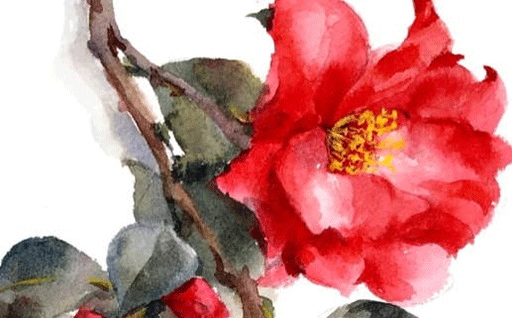 今日农历二〇二八年冬月廿八黄历启程不适宜吗,出行吉日