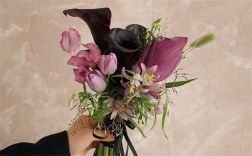 黄氏姓名大全及起名指南全面解析