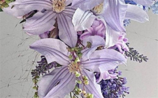 幸福之命是什么意思(幸福之命是什么意思呢?)