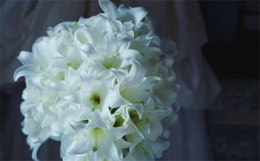 免费算命生辰八字解析您未来运势的方法