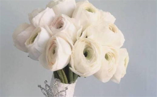 女具贤能之命的深意解读与影响分析