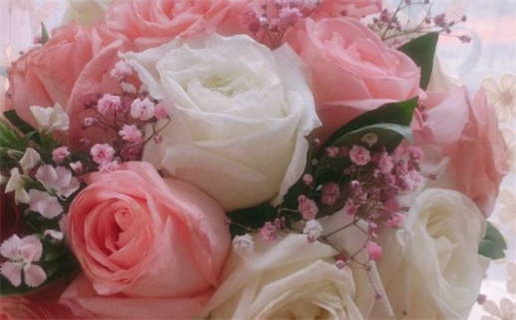 属鼠的女命运不好(属鼠的女人命不好)