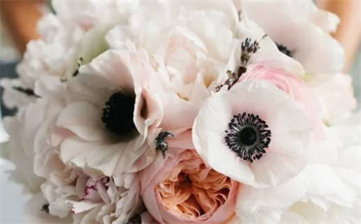 2018年出生命格解析适合的职业与发展方向