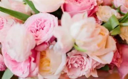 紫薇算命免费详批婚姻_紫薇命盘免费算命婚姻