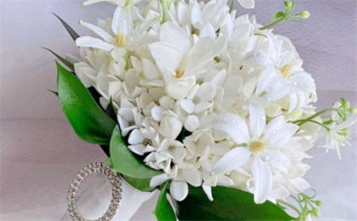 大林木命适合做什么行业(大林木命适合做什么行业最佳)