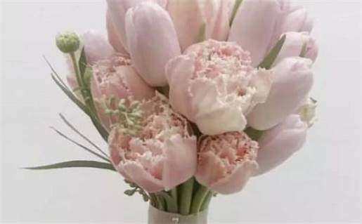 1991年属羊人的命运解析与运势指南