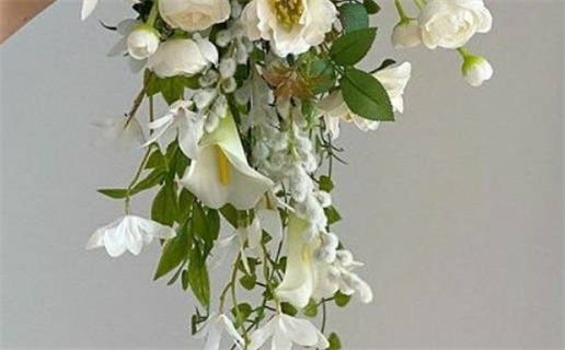 黄道吉日开业查询_黄道吉日开业查询2025