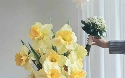 八字算命真的靠谱吗揭秘其虚假背后的真相