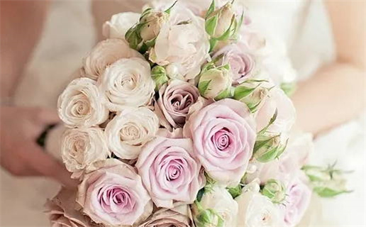 万年历黄道吉日吉时查询(万年历黄道吉日吉时查询表)