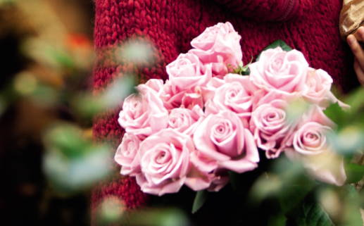 紫微斗數排盤系統,免費在線排盤查詢詳解,紫微斗數,免費算命,星塵(紫微斗數排盤系統,免費在線排盤查詢詳解,紫微斗數,免費算命,星塵)