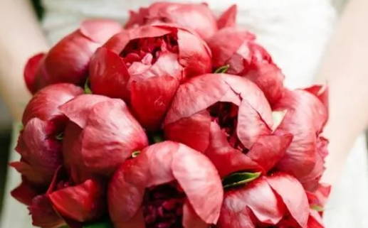 庚日未月出生,日主庚生於未月,四柱八字命例(庚日未月身强还是身弱)