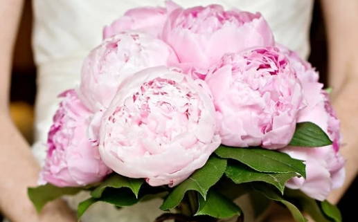 今年生肖犯太岁_今年生肖犯太岁有哪些2026