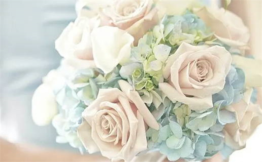 1995属猪什么命(1995属猪什么命人)