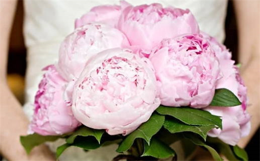 算命能预测婚姻吗解析算命准确性与现实关系