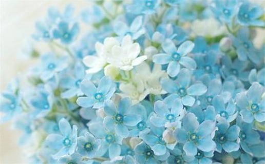 手相揭秘:女性川字纹与婚恋运势的深层关联(川字纹女人手相)