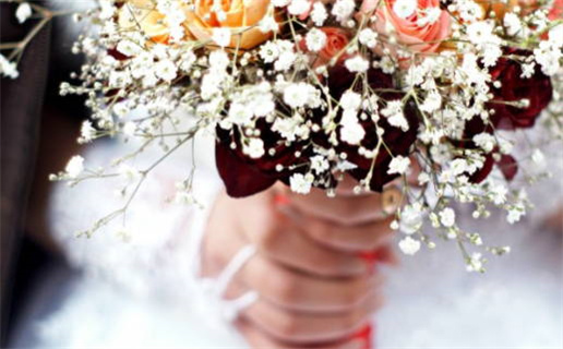 属鼠女配生肖狗相冲吗(属鼠女配生肖狗相冲吗婚姻)