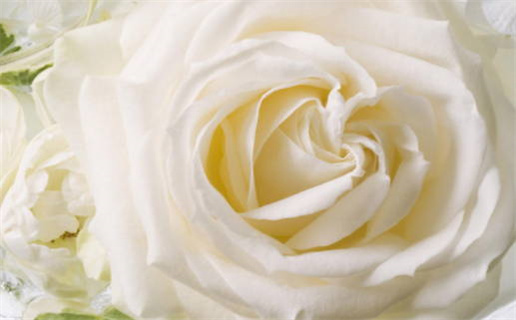 生肖犯太岁如何化解七大实用方法分享