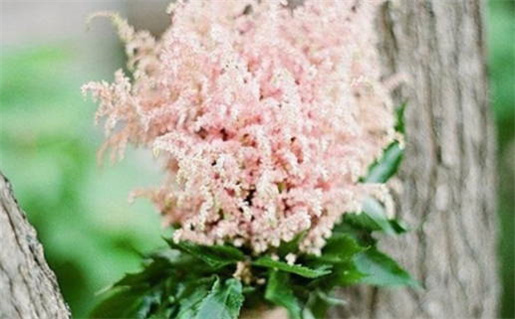 1982年出生的人是什么命_1982年出生的人是什么命?