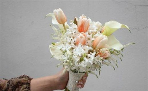 虎年犯太岁生肖是什么_虎年犯太岁生肖是什么意思