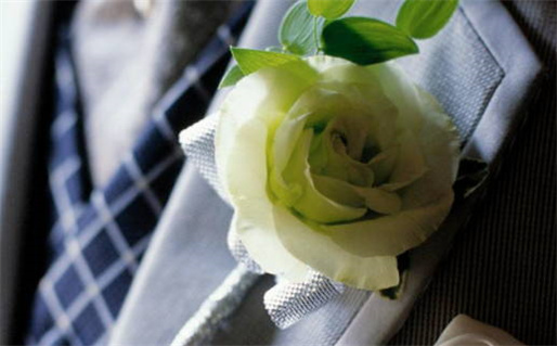 1983年属狗的命运解析与性格特点