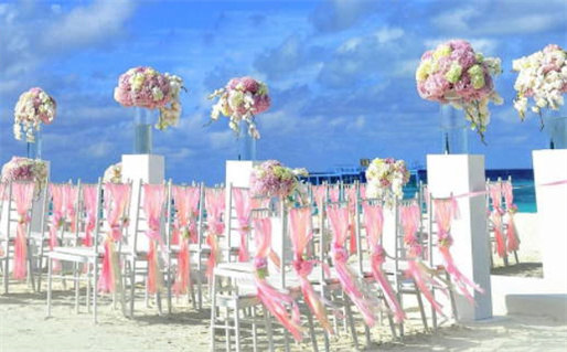 2019年属什么命解析揭示生肖运势与特点