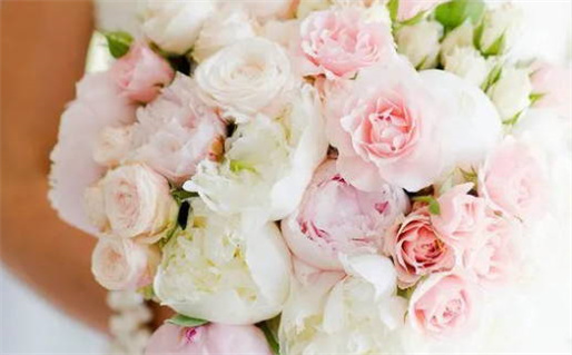 夫荣之命是什么意思(什么叫夫荣之命)