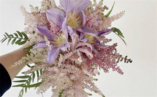 婴儿店名(婴儿店名字比较高大上的名字)