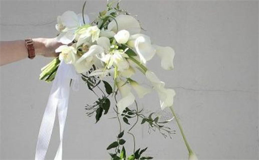 属鼠一生的桃花运有几个(属鼠一生的桃花运有几个女人)