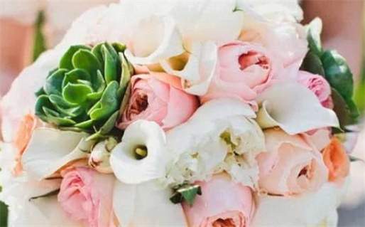 分析翘臀女性命运与人生机遇的深层关系