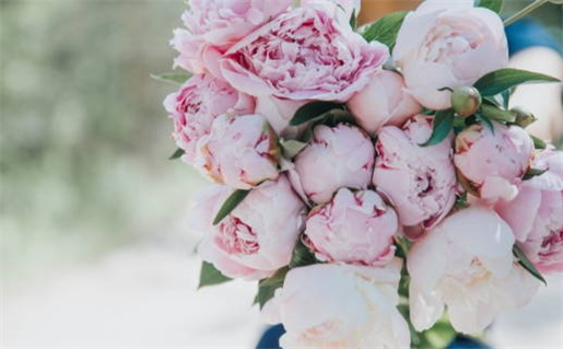 用生辰八字算命,中国传统八字,子平八字算终身_“生辰八字算命”