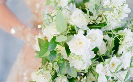 2010年属虎人的命运解析与人生运势分析