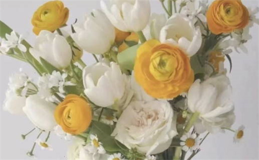 梦见分尸,周公解梦(梦见分尸周公解梦)