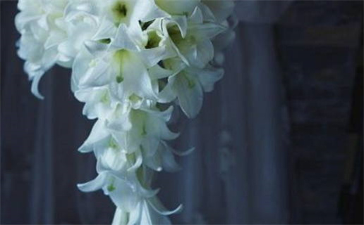 火六局命局解析及其影响详解