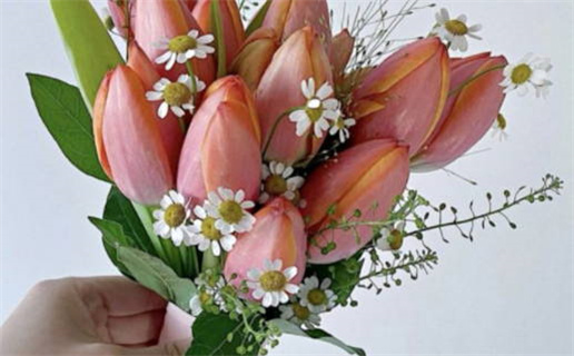 算命最准的免费网站婚姻线(婚姻算命 免费)