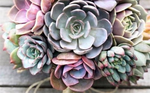 饿火命适合什么颜色(饿火命适合什么颜色李居明)