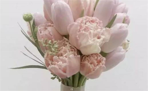 适宜卫生间的风水摆件及搭配,风水,星尘免费算命(适合卫生间的风水摆件)