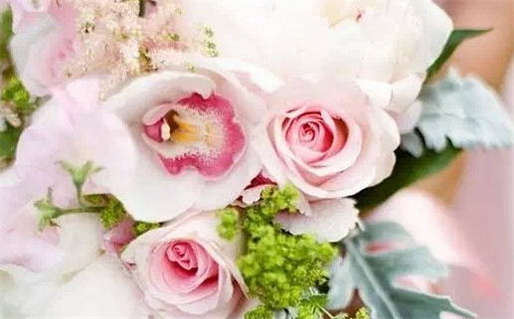 智_取名宜忌_五行笔画_名字寓意_智字在名字的寓意是什么