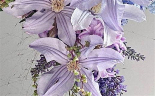 免费起名字大全_免费起名字大全免费测试