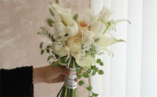 爸妈是生肖羊儿子是生肖鼠(爸妈是生肖羊儿子是生肖鼠怎么办)