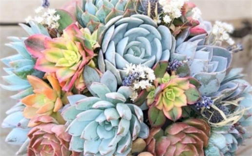 黄姓姓氏起源,来历由来,百家姓,起名取名(黄姓的姓氏起源)