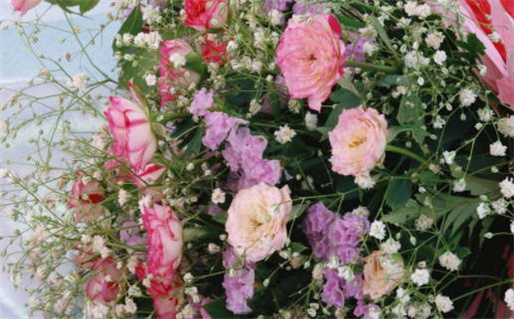 生辰八字算命解析了解你的命运密码