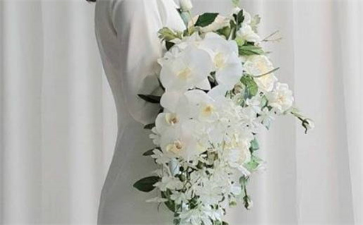 属龙正月出生是什么命(属龙正月出生是什么命运)