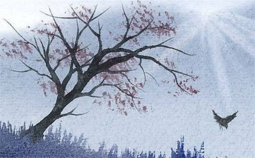 2023年猴子犯太岁如何化解运势影响攻略