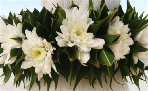 八字婚姻算命免费_八字婚姻算命免费测试