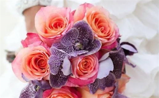 生肖鼠出生农历日_生肖鼠出生农历日子好吗