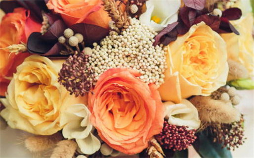 属虎和属鼠的可以做朋友吗_属虎和属鼠的可以做朋友吗女生