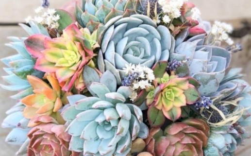 阿启起名(阿启起名网免费取名)